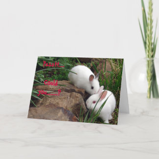Hoppy Valentine's Day Holiday Card