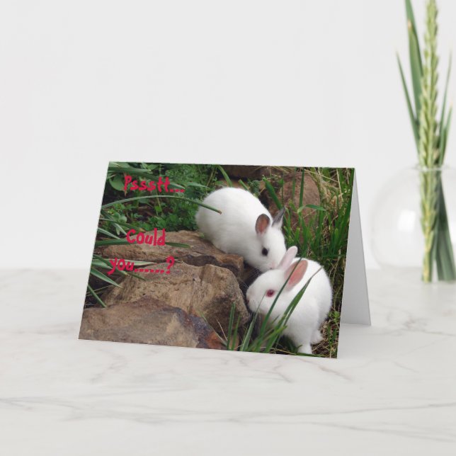 Hoppy Valentine's Day Holiday Card (Front)