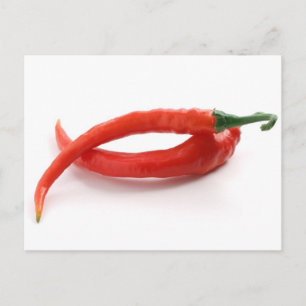 hor chili peppers postcard