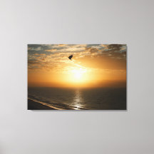 Horizon Ocean Front Sunrise View Bird Silhouette 