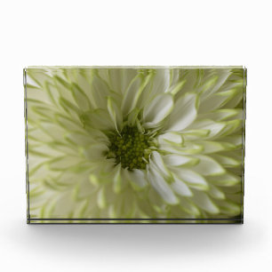 Horizontal Block Photoblock