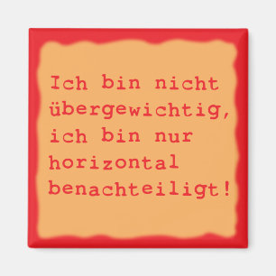 horizontal magnet
