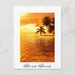 Horizontal palm tree sunset white text postcard