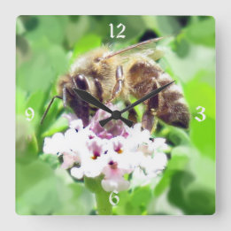 Horloge - Abeille de miel