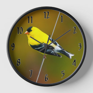 Horloge American Goldfinch - Photo originale