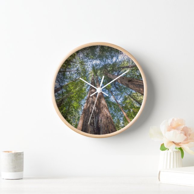 Horloge Arbres séquoias | Comté de Marin, Californie (Maison)