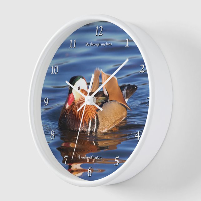 Horloge Beau canard Mandarin à l'étang (Angle)