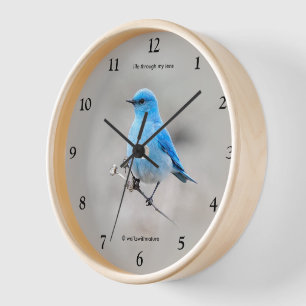 Horloge Beau oiseau chanteur de VTT sur Tansy