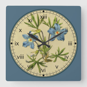 Horloge bleue botanique de fleur de Curtis dans 3 