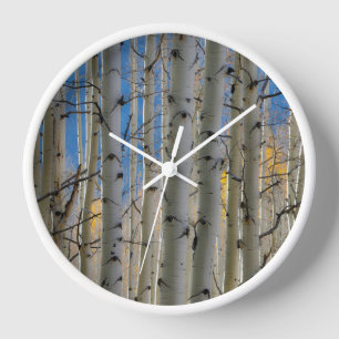 Horloge Bosquets de trembles   Montagnes Rocheuses du Colo