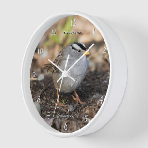 Horloge Bruant blanc mignon à tête blanche en hiver