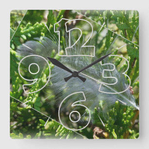 Horloge Carrée A stray feather