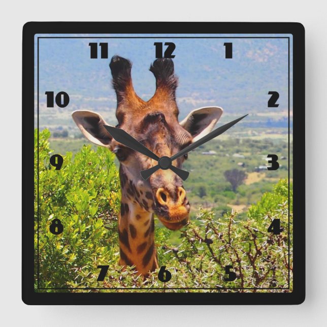 Horloge Carrée Adorable Giraffe Poking His Head Above The Trees (Recto)