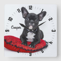 Adorable personnalisation Chien Photo Carré Mur Ho