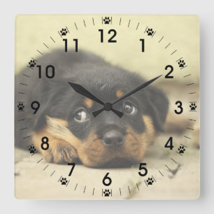 Horloge Carrée Adorable Rottweiler Puppy