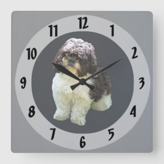 Horloge Carrée Adorable Shih Tzu Puppy