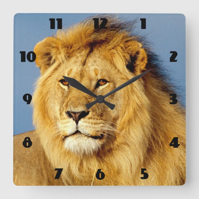 Horloge Carrée African Lion 2 (Recto)