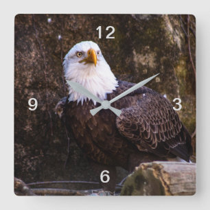 Horloge Carrée Aigle de Bald