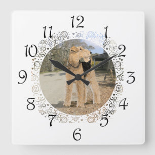 Horloge Carrée Airedale dans la cour de l'écurie