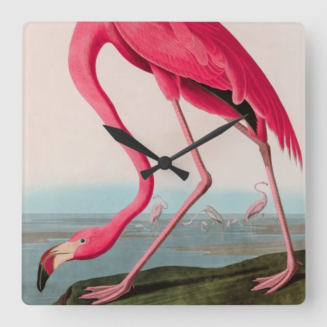 Horloge Carrée American Flamant rose Birds of America Audubon Imp (Recto)