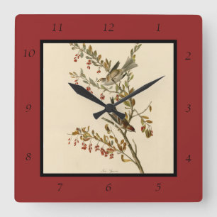 Horloge Carrée American Tree Sparrow, les oiseaux d'Amérique d'Au