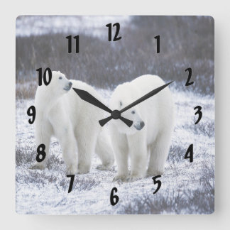 Horloge Carrée Amour d'ours polaire