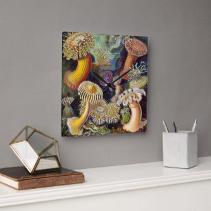 Horloge Carrée Anémones de mer vintage par Ernst Haeckel