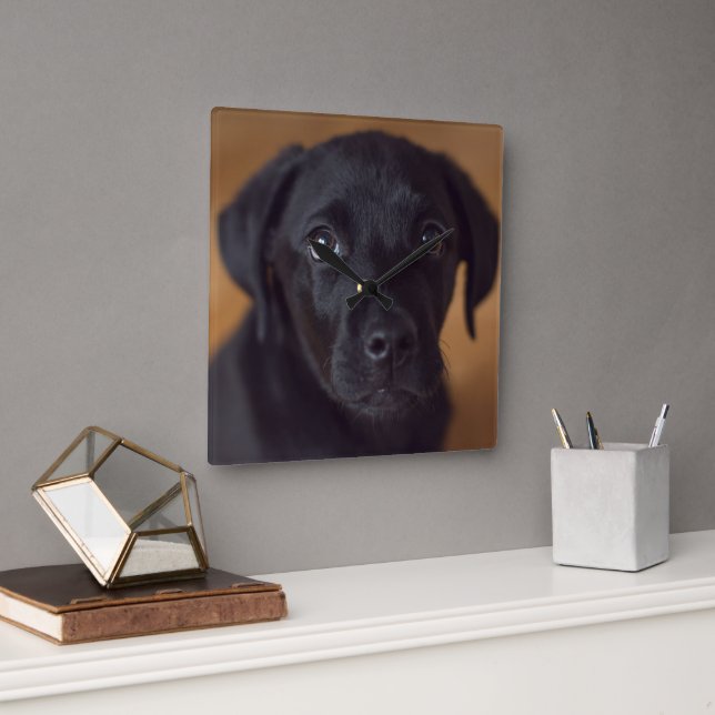 Horloge Carrée Animaux de bébés cutest | Black Labrador Puppy (Bureau)