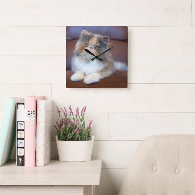 Horloge Carrée Animaux de bébés cutest | Calico Persian Kitten (Salle de lecture)