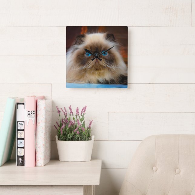 Horloge Carrée Animaux de bébés cutest | Chat himalayen (Salle de lecture)