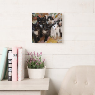 Horloge Carrée Animaux de bébés cutest   Chatons noirs et blancs