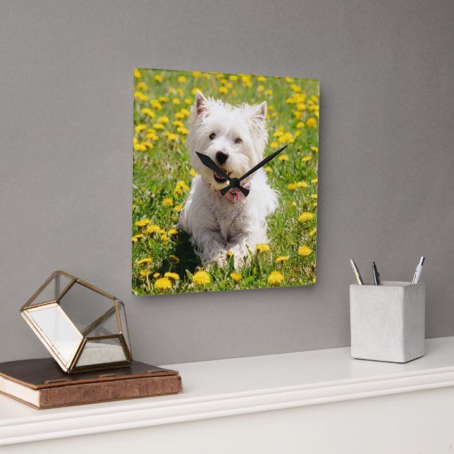 Horloge Carrée Animaux de bébés cutest | Chien Westin en Dandelio (Bureau)