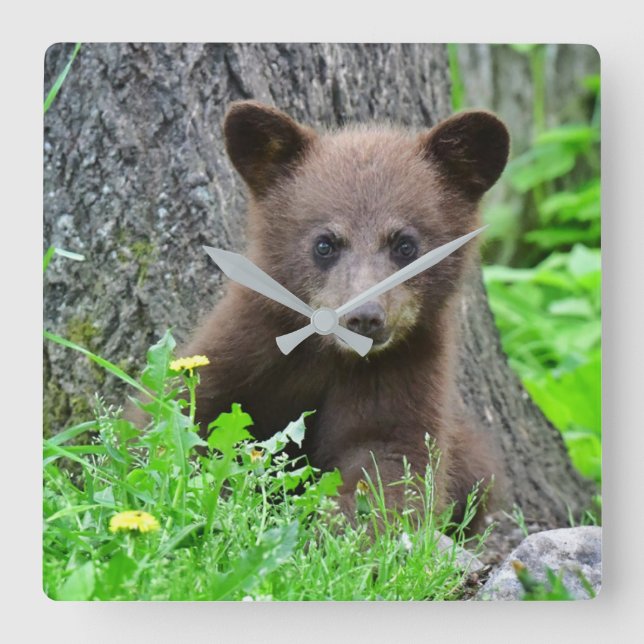Horloge Carrée Animaux de bébés cutest | Cube d'ours Brown (Recto)