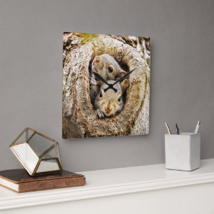 Horloge Carrée Animaux de bébés cutest   Écureuils curieux
