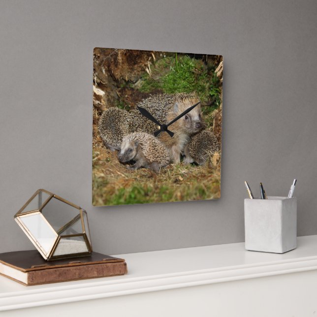 Horloge Carrée Animaux de bébés cutest | Famille Hérisson (Bureau)