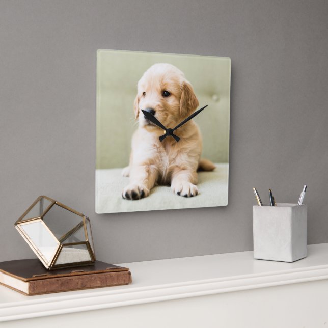 Horloge Carrée Animaux de bébés cutest | Golden Retriever Puppy (Bureau)