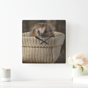 Horloge Carrée Animaux de bébés cutest   Hérisson dans un panier