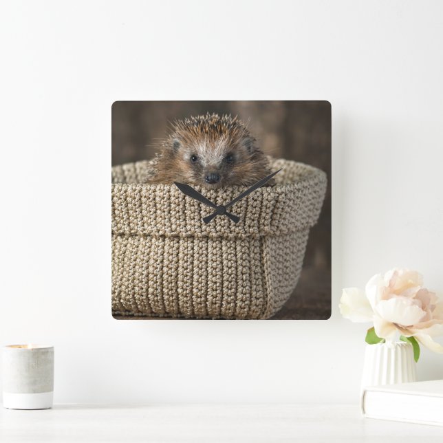 Horloge Carrée Animaux de bébés cutest | Hérisson dans un panier (Maison)
