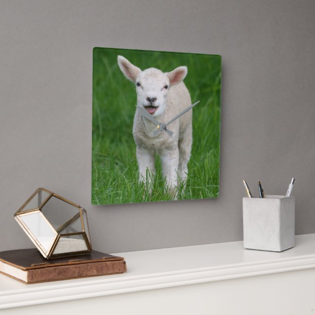 Horloge Carrée Animaux de bébés cutest | Lil Lamb (Bureau)