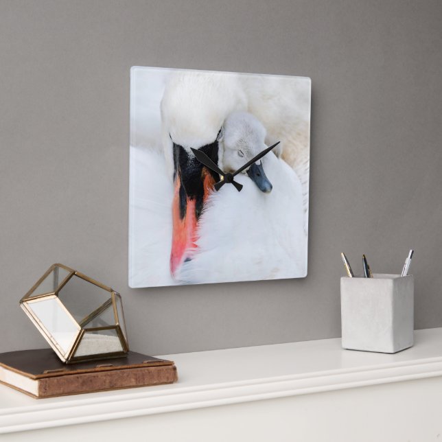 Horloge Carrée Animaux de bébés cutest | Mère et bébé Mute Swan (Bureau)