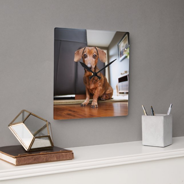 Horloge Carrée Animaux de bébés cutest | Mini chiot (Bureau)