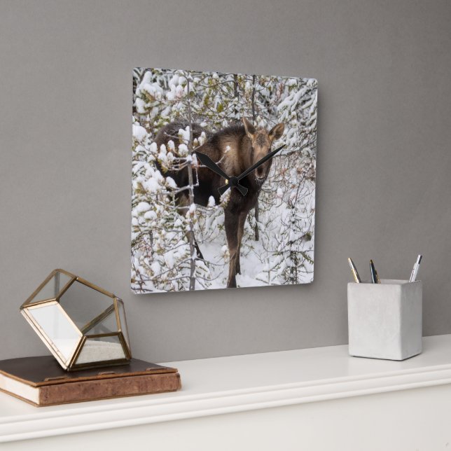 Horloge Carrée Animaux de bébés cutest | Moose Calf (Bureau)