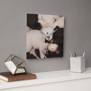 Horloge Carrée Animaux de bébés cutest Pile de marionnettes