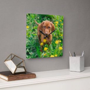 Horloge Carrée Animaux de bébés cutest   Pointeur