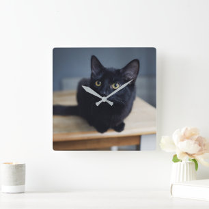 Horloge Carrée Animaux de bébés cutest   Portrait d'un chat noir