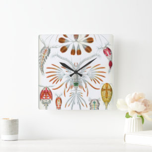 Horloge Carrée Animaux océaniques vintage, Copépodes par Ernst Ha