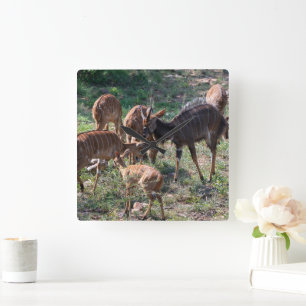 Horloge Carrée Antilope nyala gracieuse en Afrique