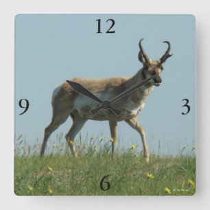 Horloge Carrée Antilope Pronghorn A10 marchant à travers des fleu