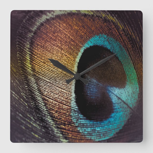 Horloge Carrée Antique Hues Peacock Feather Eye (Recto)