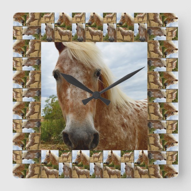 Horloge Carrée Appaloosa Horse In Appaloosa Horse Photo Frame (Recto)